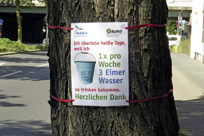 Plakat für unsere Aktion Stadtbäume gießen