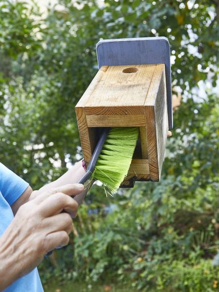 Ein Nistkasten wird mit Handfeger gebürstet