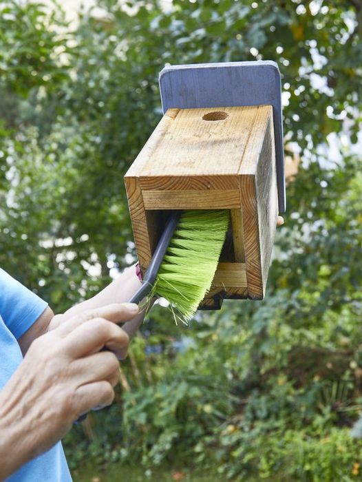 Ein Nistkasten wird mit Handfeger gebürstet